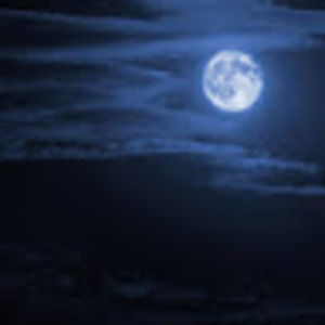 Meet your Posher, Nathan